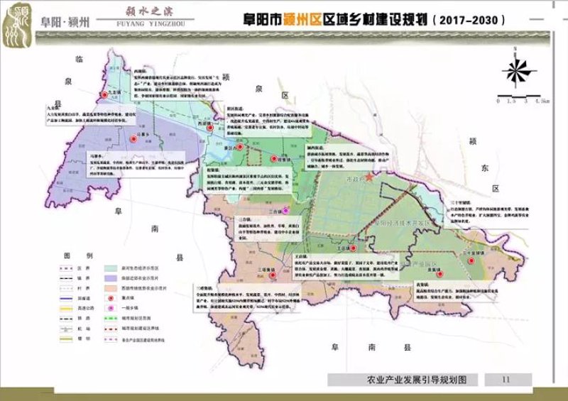 阜阳苗木